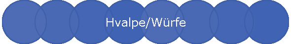 Hvalpe/Wrfe