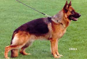 Uran von Moorbeck